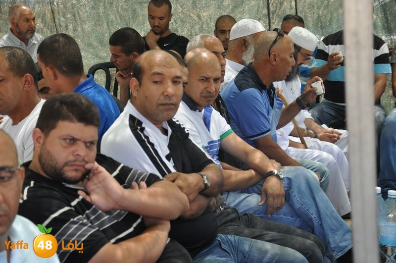 sol7desoqylud615 (8).JPG